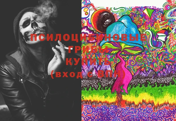 спайс Медвежьегорск